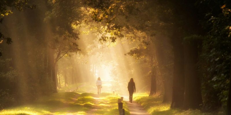 Woman walking on a sun-drenched dirt path with another woman walking towards her