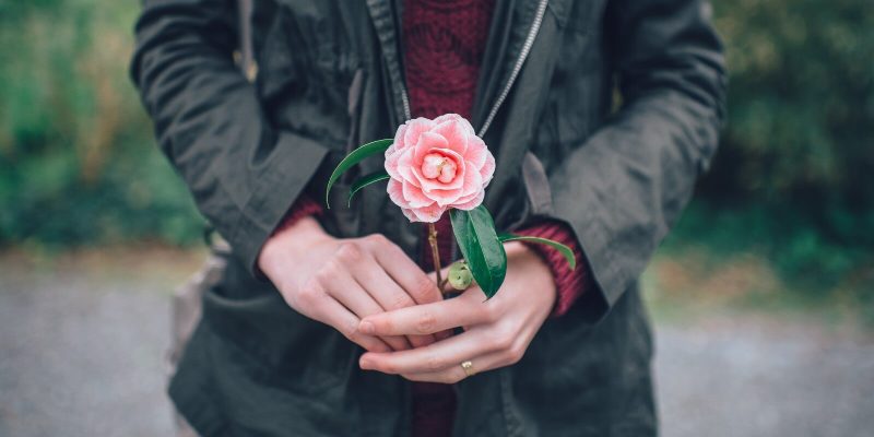 woman holding a pink flower in her hands