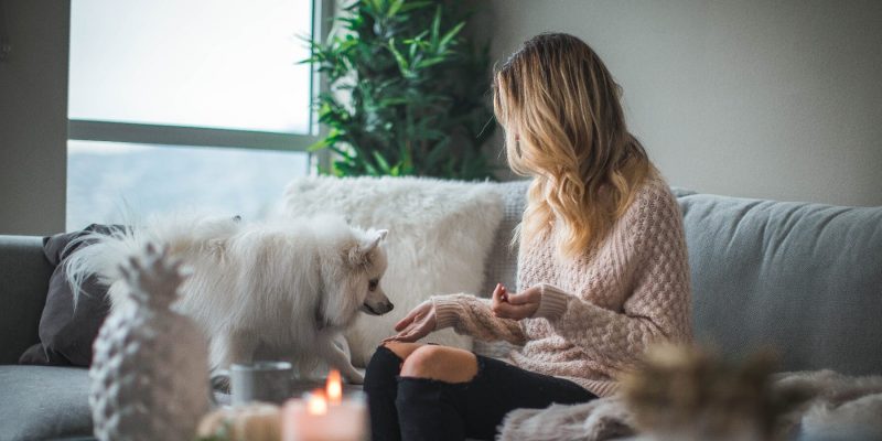 Woman sitting on her sofa feeding her dog a treat
